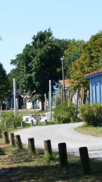 photo 18 Location entre particuliers Andernos les Bains gite Aquitaine Gironde Vue autre