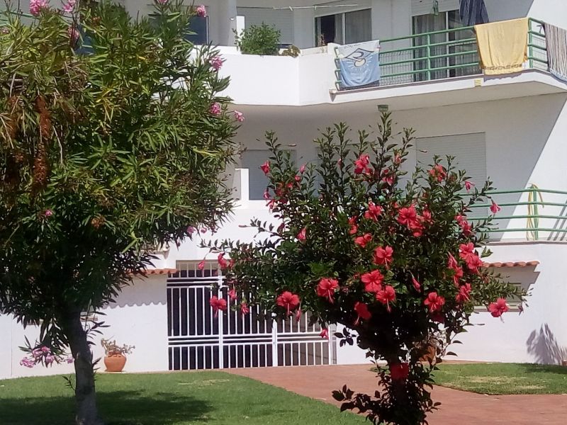 photo 3 Location entre particuliers Albufeira appartement Algarve