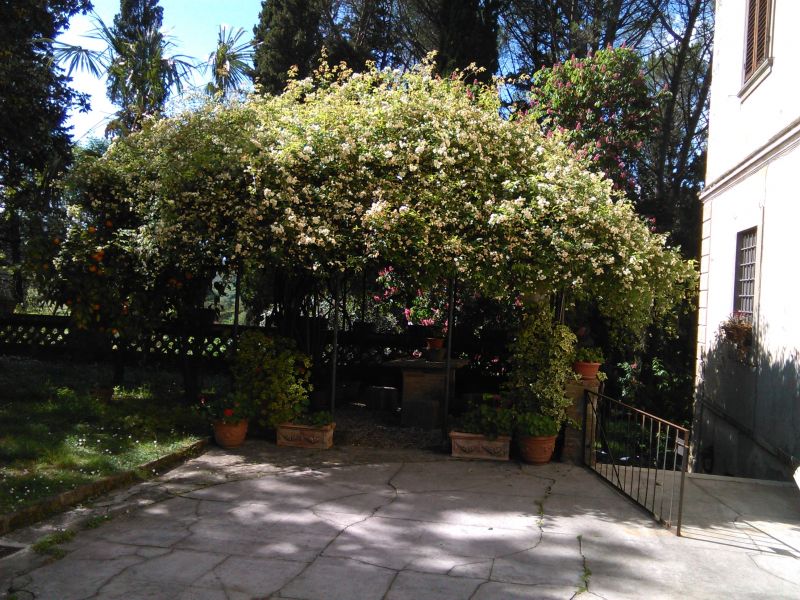 photo 25 Location entre particuliers Camaiore appartement Toscane Lucques (province de) Jardin