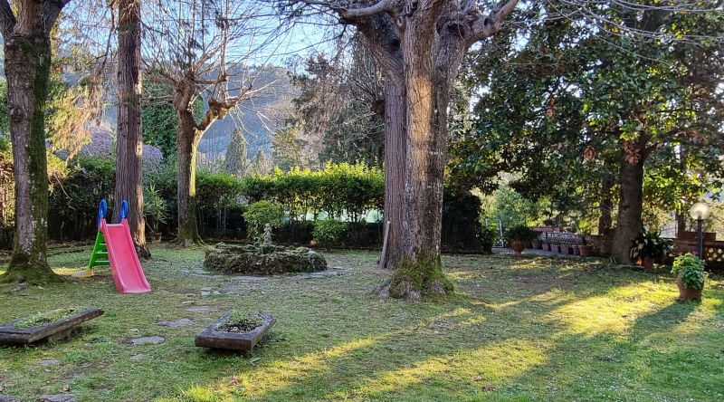 photo 26 Location entre particuliers Camaiore appartement Toscane Lucques (province de) Jardin