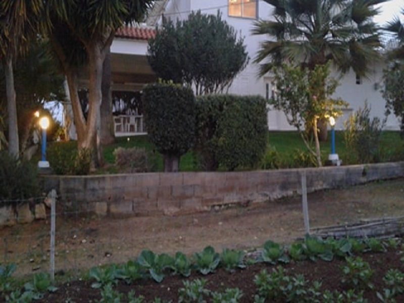 photo 10 Location entre particuliers Almancil appartement Algarve  Jardin