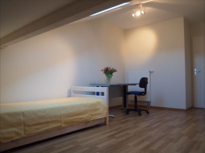 photo 8 Location entre particuliers Thonon Les Bains appartement Rhne-Alpes Haute-Savoie chambre 2