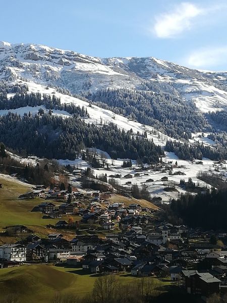 photo 16 Location entre particuliers Areches Beaufort appartement Rhne-Alpes Savoie Vue de la terrasse