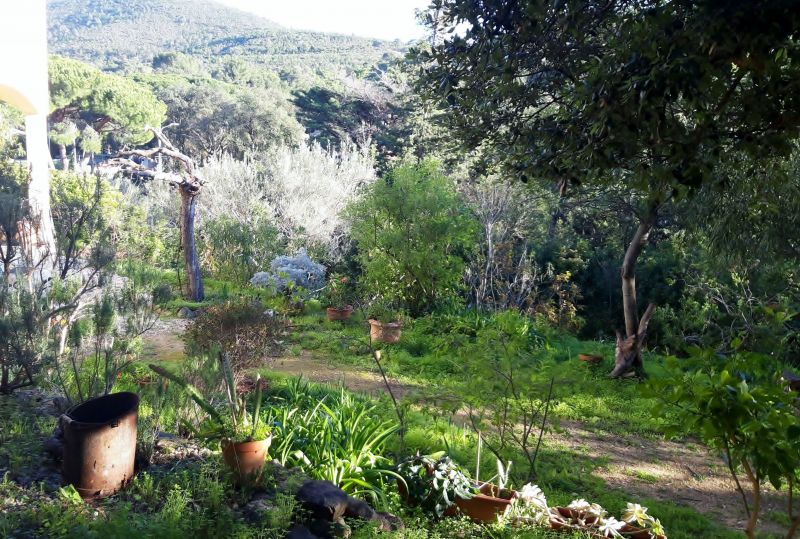 photo 27 Location entre particuliers Le Pradet maison Provence-Alpes-Cte d'Azur Var Jardin