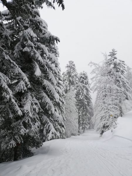 photo 12 Location entre particuliers Le Lioran appartement Auvergne Cantal Vue  proximit