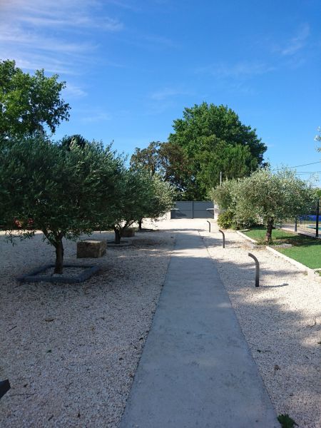 photo 23 Location entre particuliers Nmes maison Languedoc-Roussillon Gard Jardin