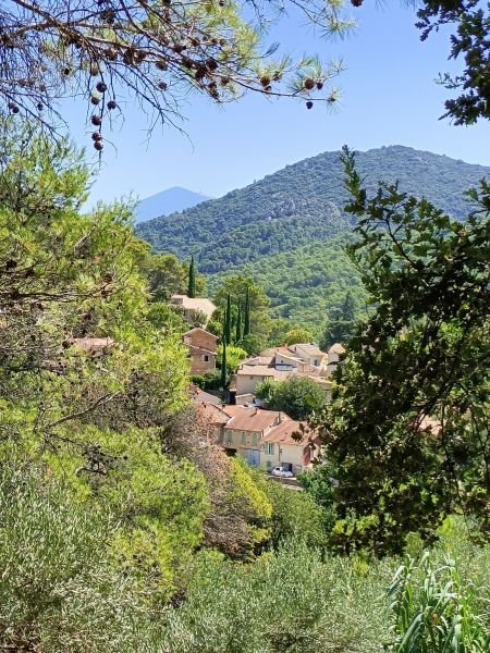 photo 23 Location entre particuliers Carpentras gite Provence-Alpes-Cte d'Azur Vaucluse Vue autre
