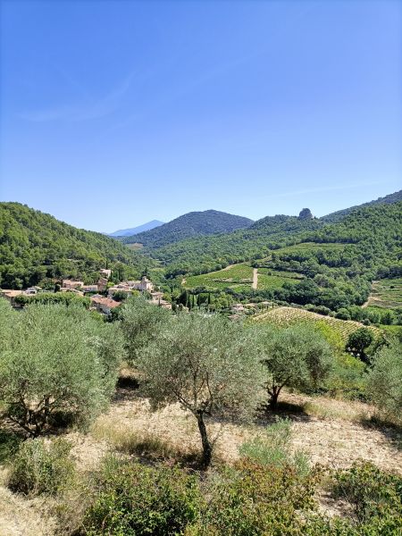 photo 28 Location entre particuliers Carpentras gite Provence-Alpes-Cte d'Azur Vaucluse