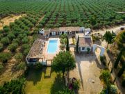 Locations maisons vacances: villa n 123590