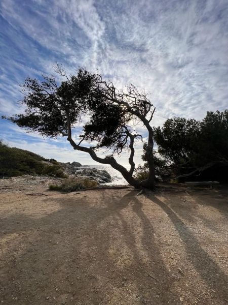 photo 27 Location entre particuliers Cassis studio Provence-Alpes-Cte d'Azur Bouches du Rhne