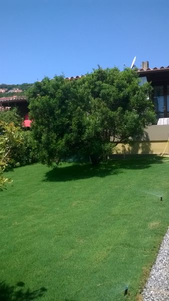 photo 10 Location entre particuliers Costa Rei appartement Sardaigne Cagliari (province de) Jardin