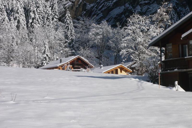 photo 2 Location entre particuliers Pralognan la Vanoise chalet Rhne-Alpes Savoie Vue extrieure de la location