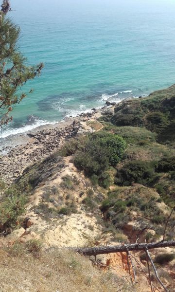 photo 18 Location entre particuliers Olhos de Agua appartement Algarve  Plage