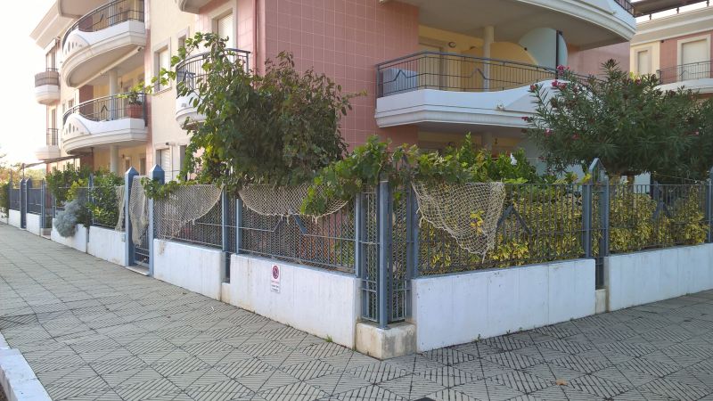 photo 1 Location entre particuliers Termoli appartement Molise Campobasso (province de) Vue du balcon