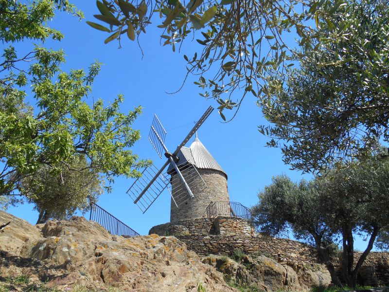 photo 20 Location entre particuliers Collioure appartement Languedoc-Roussillon Pyrnes-Orientales Vue autre