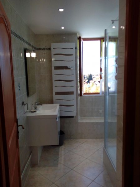 photo 8 Location entre particuliers Thollon Les Mmises appartement Rhne-Alpes Haute-Savoie salle de bain