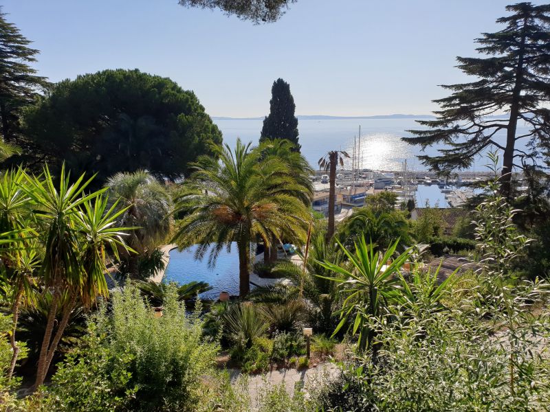 photo 5 Location entre particuliers Le Lavandou villa Provence-Alpes-Cte d'Azur Var Jardin