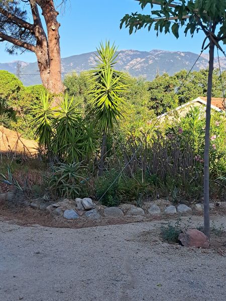 photo 18 Location entre particuliers Porto Vecchio appartement Corse Corse du Sud