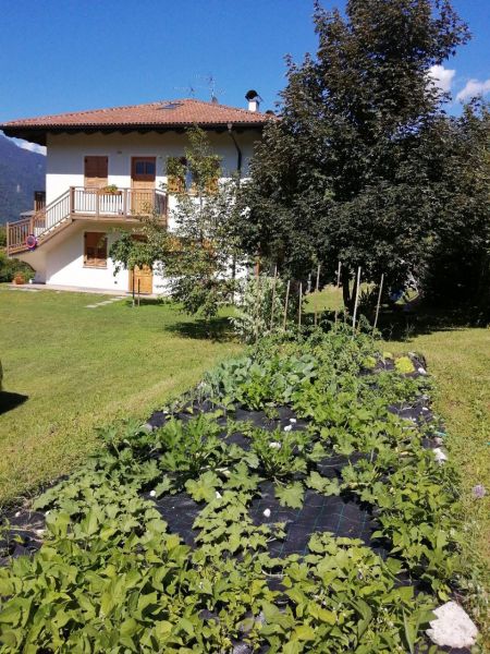 photo 9 Location entre particuliers Levico Terme appartement Trentin-Haut-Adige Trente (province de) Jardin