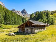 Locations vacances Alpes Franaises pour 17 personnes: chalet n 79860