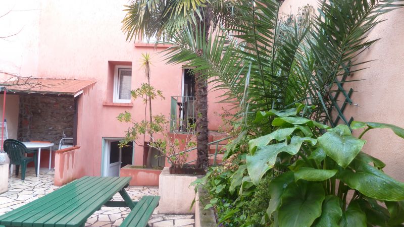 photo 11 Location entre particuliers Collioure studio Languedoc-Roussillon Pyrnes-Orientales