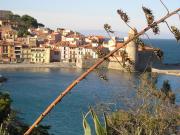 Locations vacances Port Vendres pour 2 personnes: studio n 82739