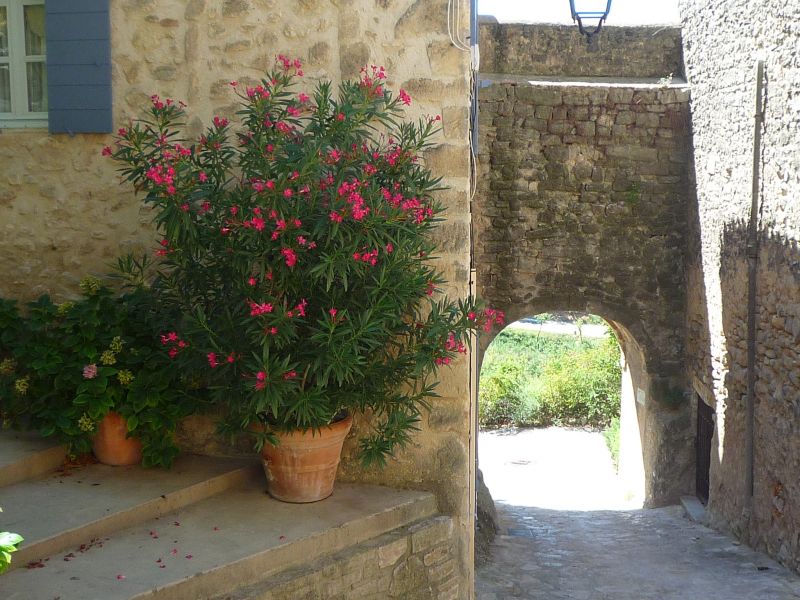 photo 12 Location entre particuliers La Tour d'Aigues gite Provence-Alpes-Cte d'Azur Vaucluse