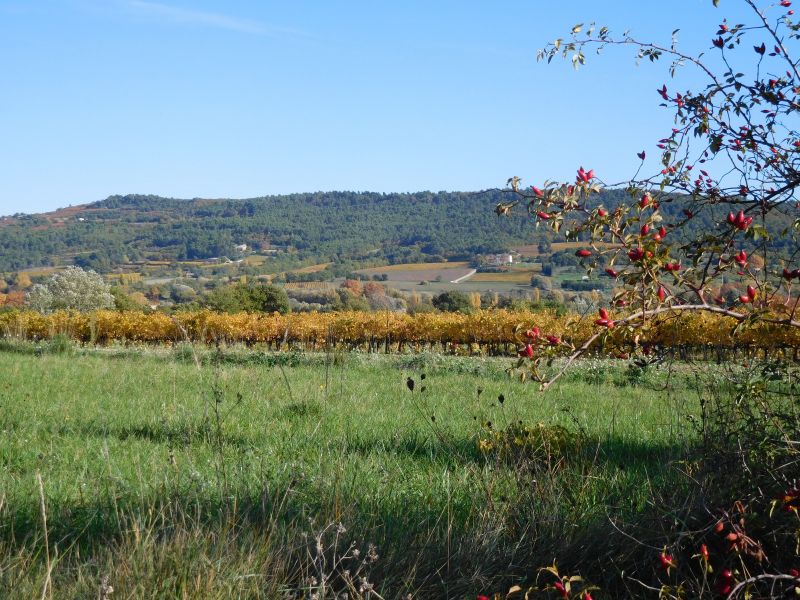 photo 25 Location entre particuliers Apt villa Provence-Alpes-Cte d'Azur Vaucluse Vue depuis la location