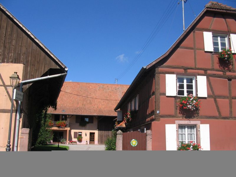 photo 22 Location entre particuliers Colmar gite Alsace Haut-Rhin Vue  proximit