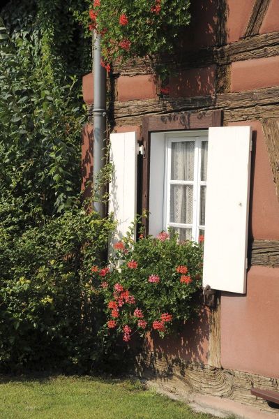 photo 25 Location entre particuliers Colmar gite Alsace Haut-Rhin Jardin