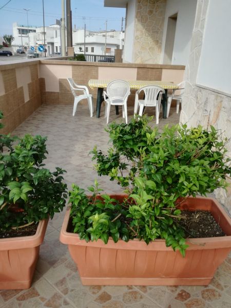 photo 4 Location entre particuliers San Foca appartement Pouilles Lecce (province de) Jardin