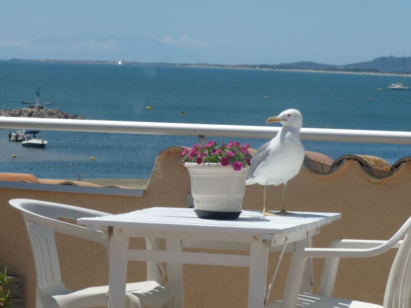 photo 20 Location entre particuliers Ste appartement Languedoc-Roussillon Hrault Vue de la terrasse