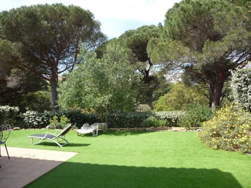 photo 10 Location entre particuliers Sainte Maxime villa Provence-Alpes-Cte d'Azur Var Jardin