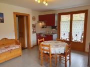 Locations vacances France: appartement n 129124