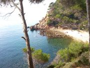 Locations vacances bord de mer Bandol: appartement n 64275