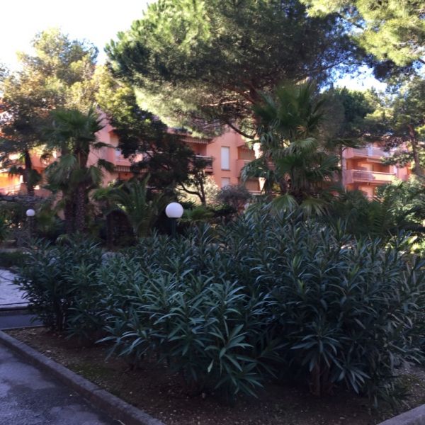 photo 15 Location entre particuliers Bormes Les Mimosas appartement Provence-Alpes-Cte d'Azur Var Jardin