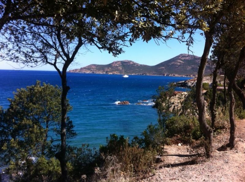 photo 21 Location entre particuliers Calvi appartement Corse Haute-Corse