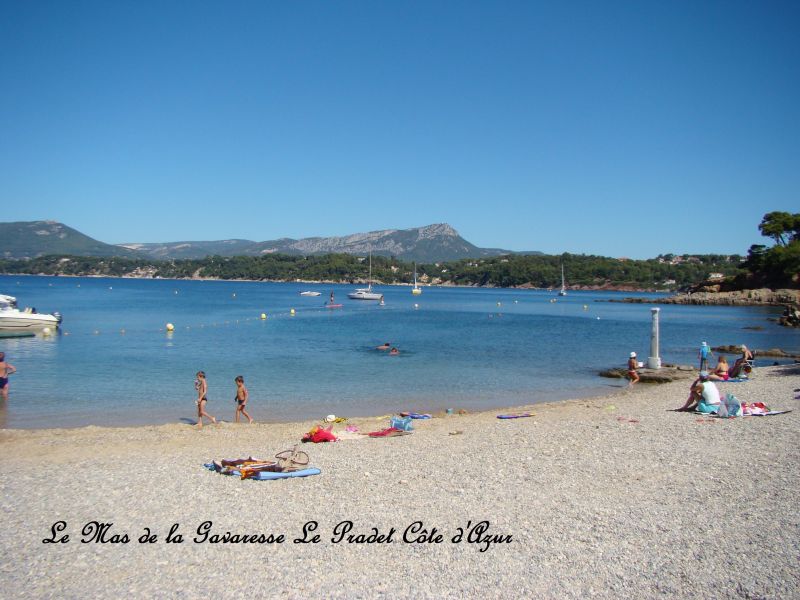 photo 19 Location entre particuliers Hyres gite Provence-Alpes-Cte d'Azur Var Plage