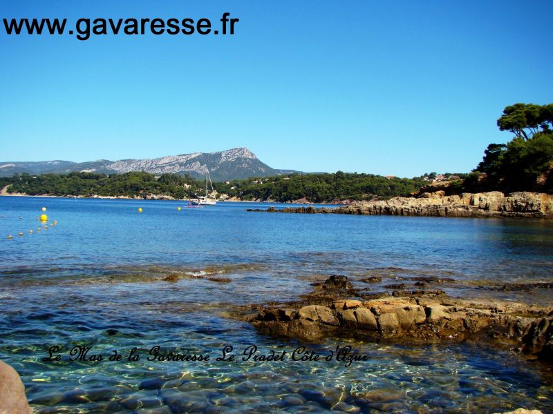 photo 20 Location entre particuliers Hyres gite Provence-Alpes-Cte d'Azur Var Plage