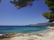 Locations mer Provence-Alpes-Cte D'Azur: gite n 113958