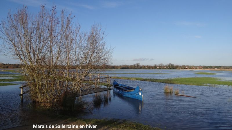 photo 28 Location entre particuliers Saint Jean de Monts appartement Pays de la Loire Vende