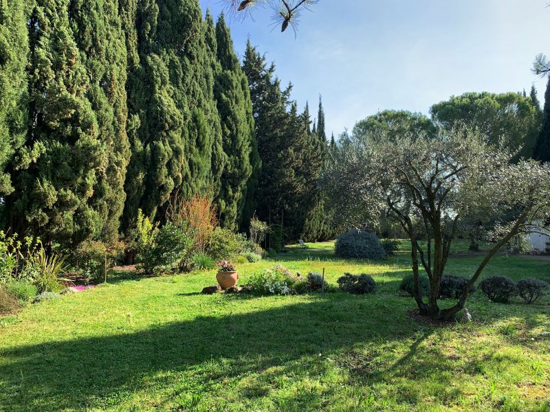 photo 12 Location entre particuliers Saint Rmy de Provence villa Provence-Alpes-Cte d'Azur Bouches du Rhne Jardin