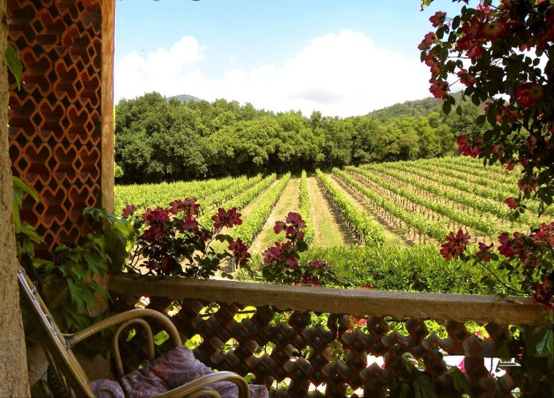 photo 6 Location entre particuliers Grimaud gite Provence-Alpes-Cte d'Azur Var Vue du balcon