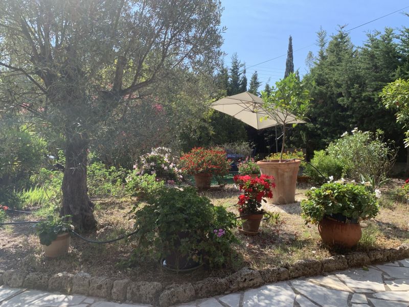 photo 20 Location entre particuliers Frjus villa Provence-Alpes-Cte d'Azur Var Jardin