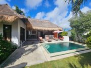 Locations vacances: villa n 128981