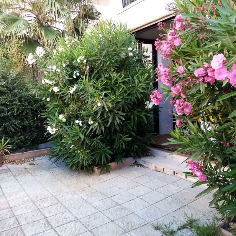 photo 18 Location entre particuliers Canet-en-Roussillon appartement Languedoc-Roussillon Pyrnes-Orientales Jardin