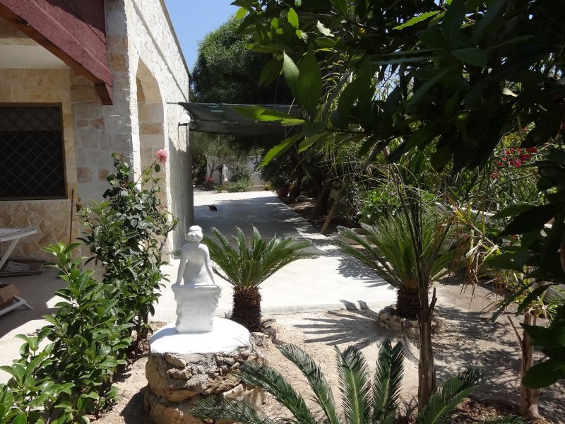 photo 11 Location entre particuliers Santa Maria di Leuca villa Pouilles Lecce (province de) Jardin