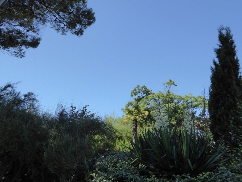 photo 7 Location entre particuliers Le Bois-Plage-en-R maison Poitou-Charentes Charente-Maritime Vue de la terrasse