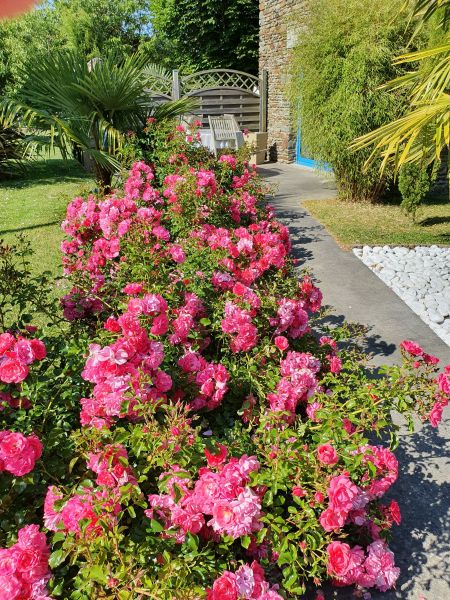 photo 14 Location entre particuliers Mont Saint Michel gite Basse-Normandie Manche Jardin