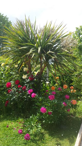 photo 6 Location entre particuliers Mont Saint Michel gite Basse-Normandie Manche Jardin